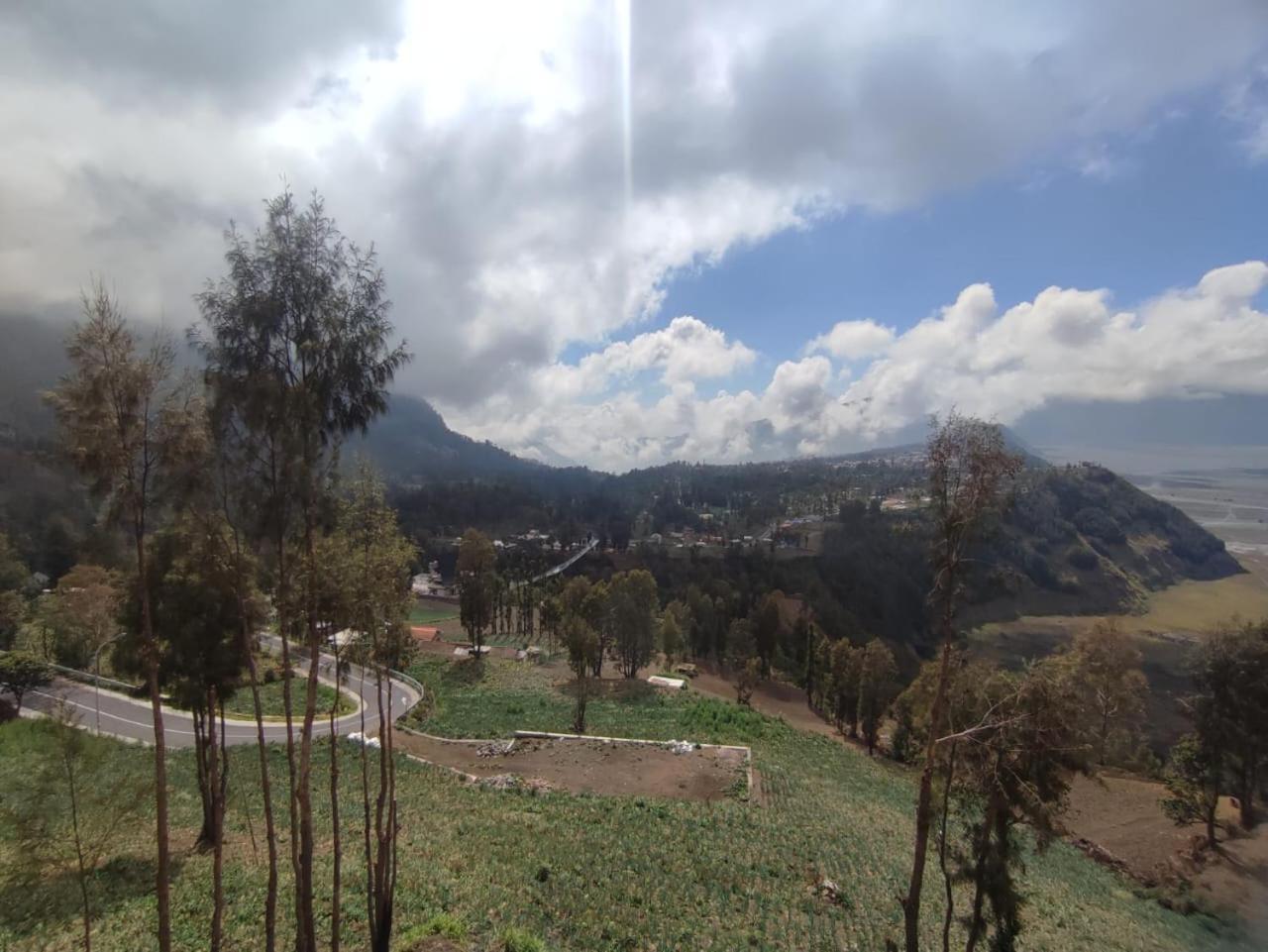 Elen Homestay By Abm Bromo Exterior photo